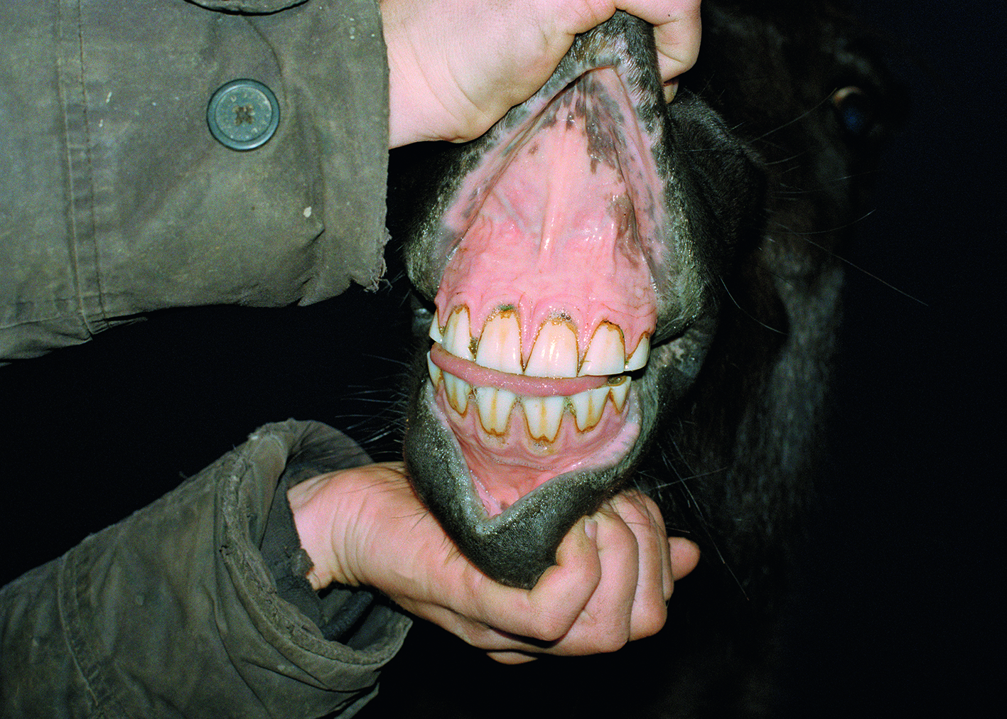  Cadavre Exquis Berlin