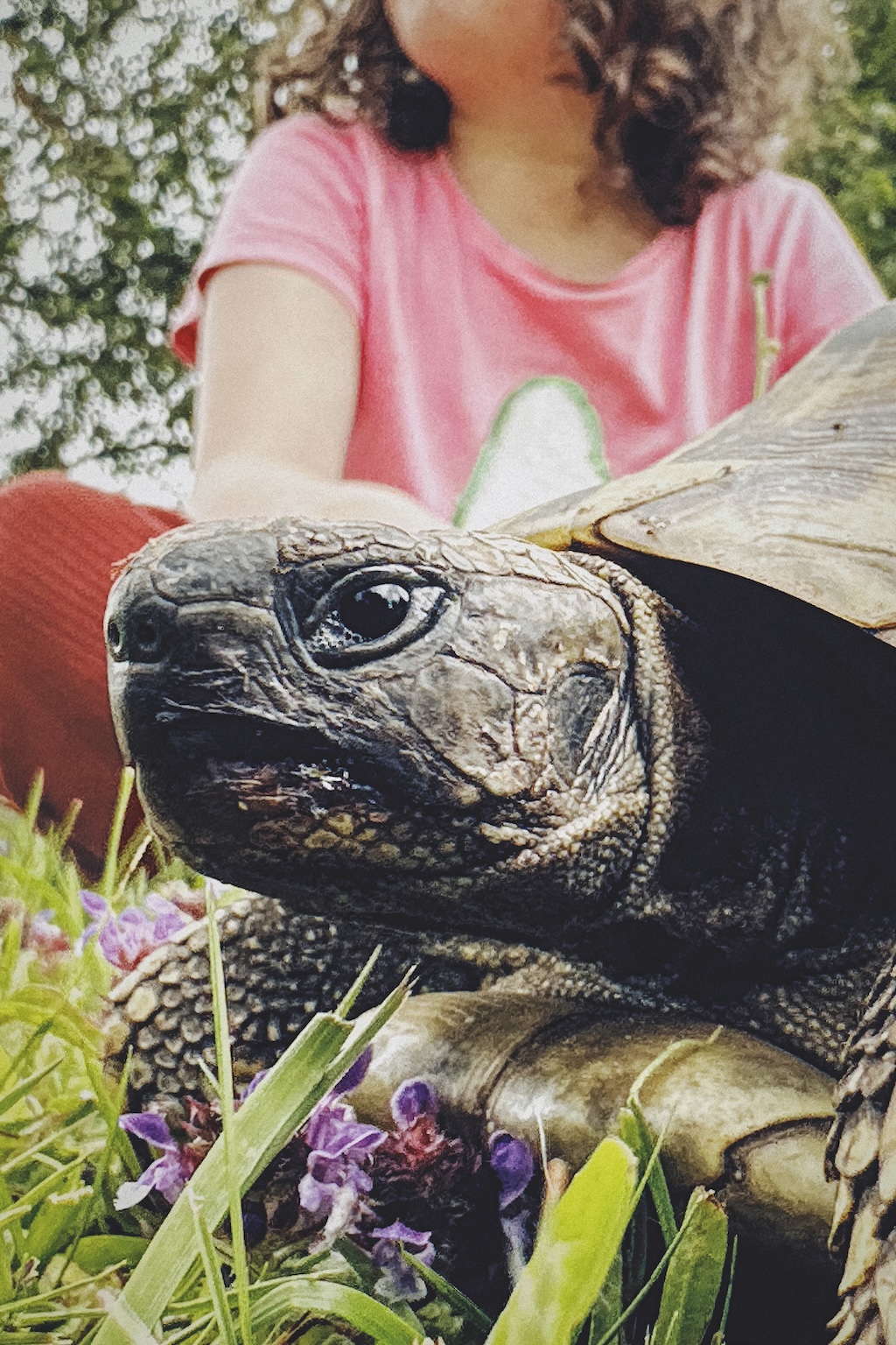  Cadavre Exquis Berlin