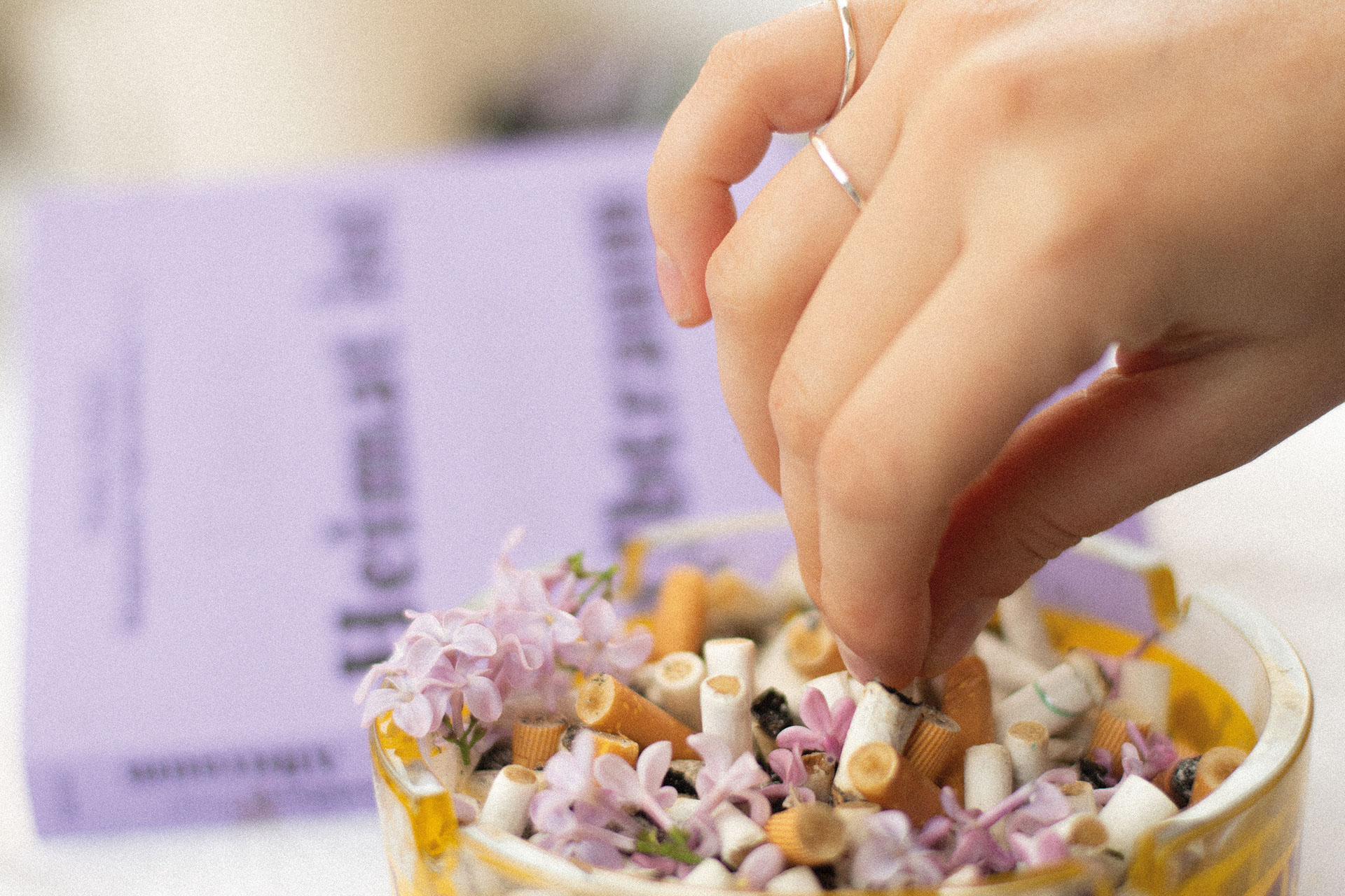  Cadavre Exquis Berlin