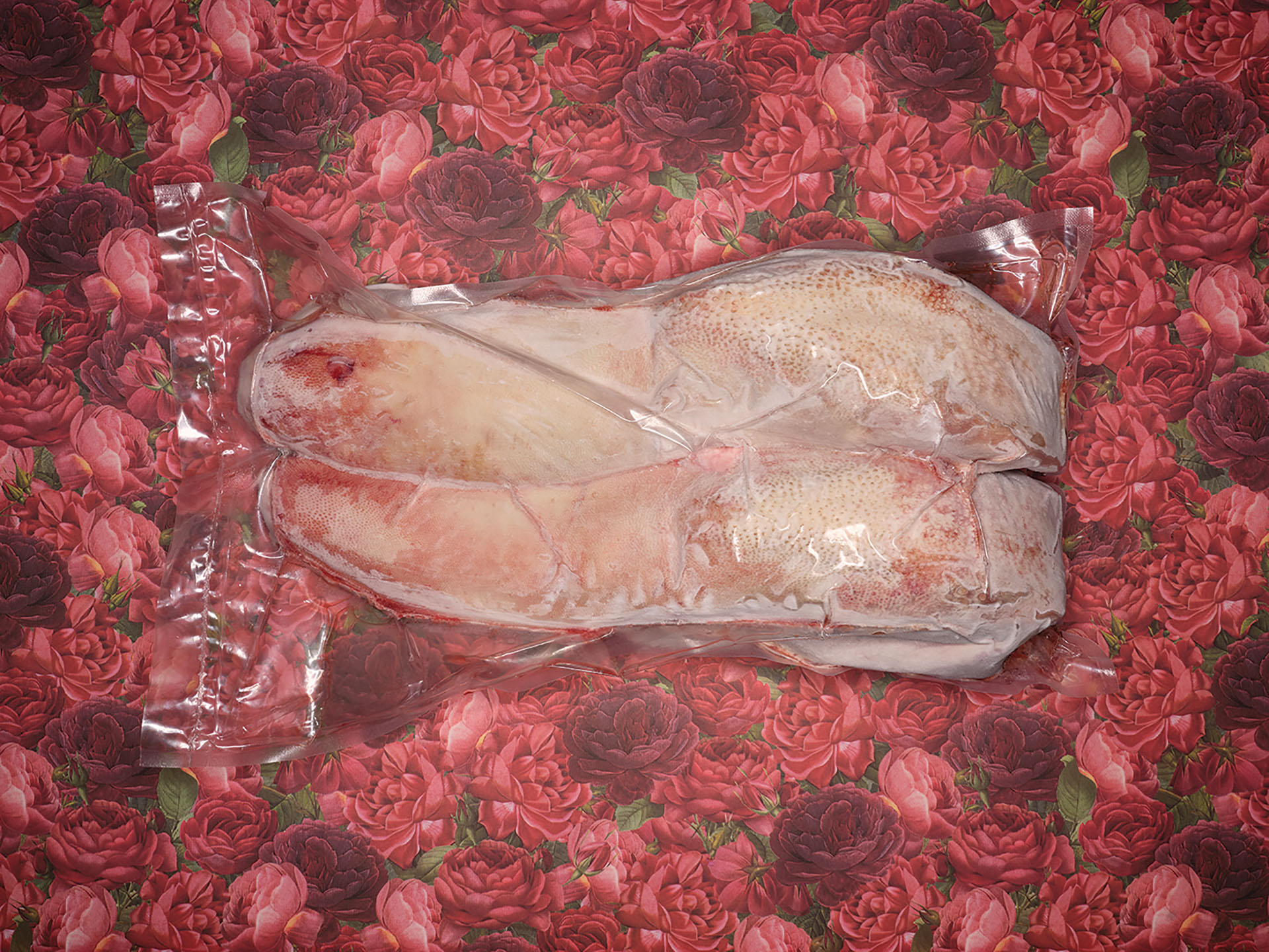  Cadavre Exquis Berlin