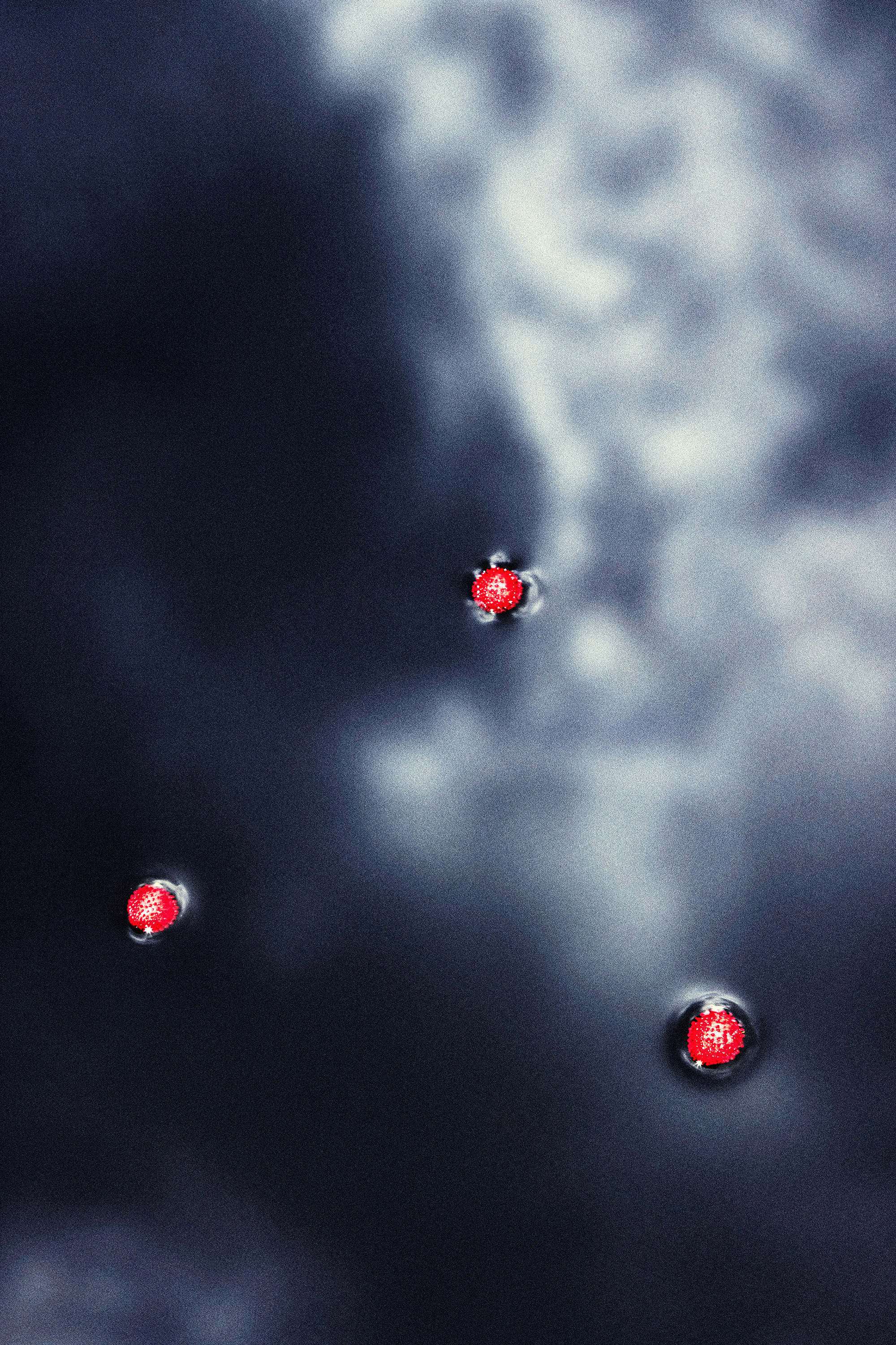  Cadavre Exquis Berlin