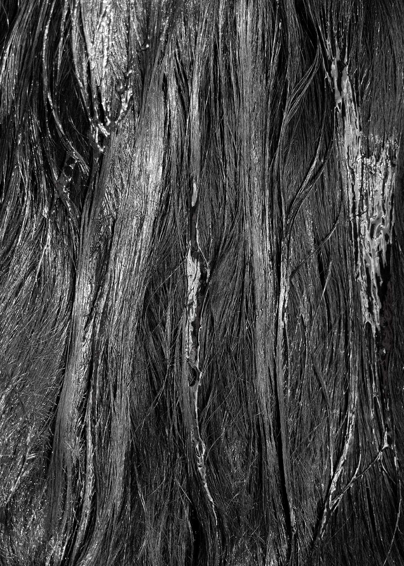  Cadavre Exquis Berlin