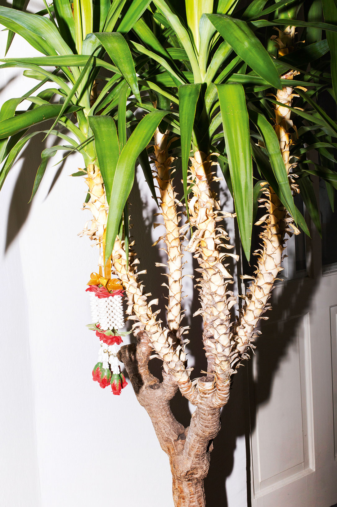 Cadavre Exquis Berlin