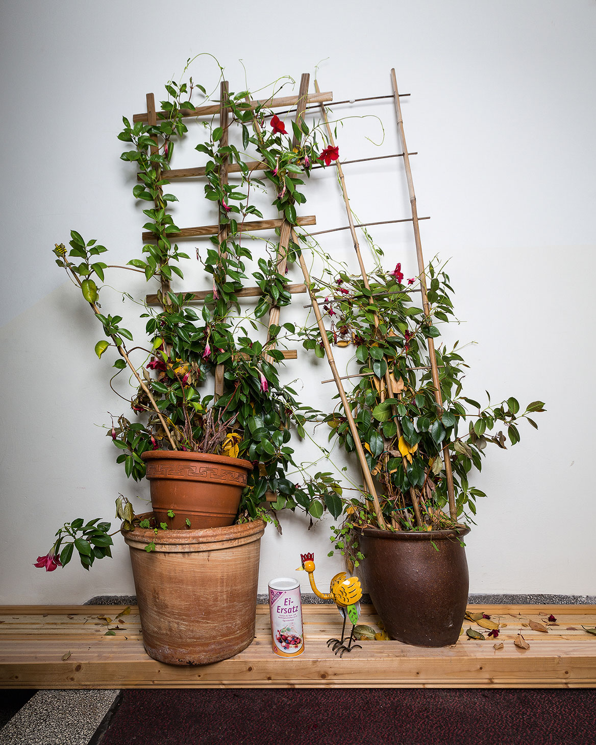 Cadavre Exquis Berlin