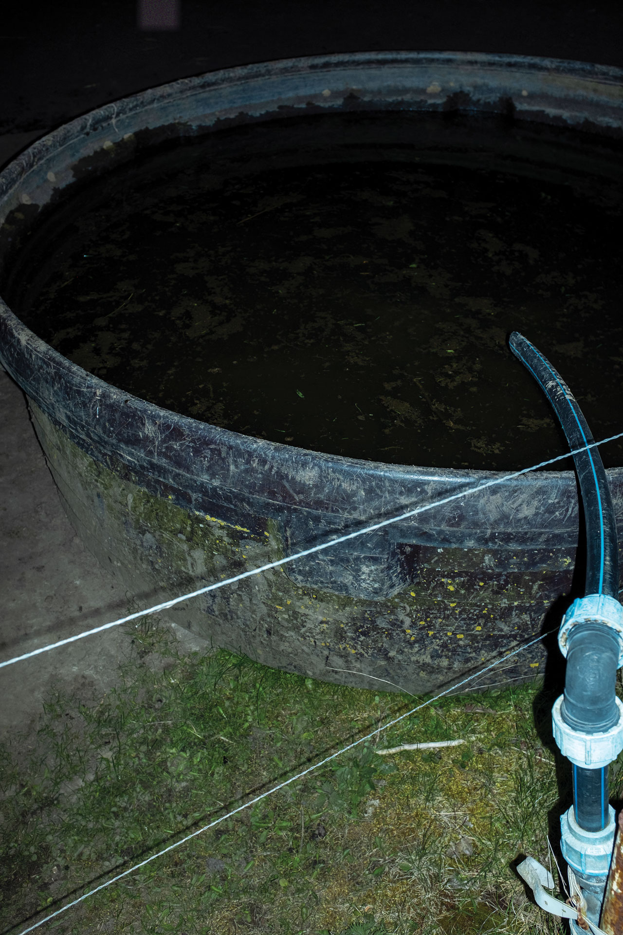  Cadavre Exquis Berlin