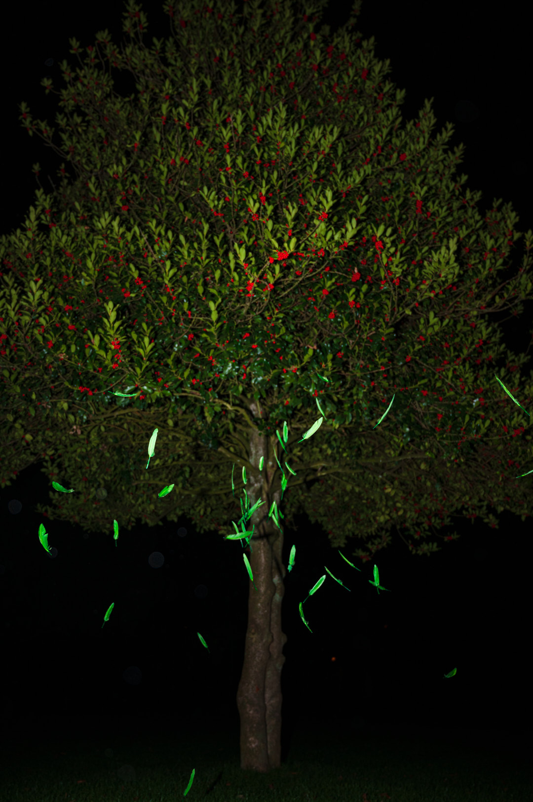  Cadavre Exquis Berlin