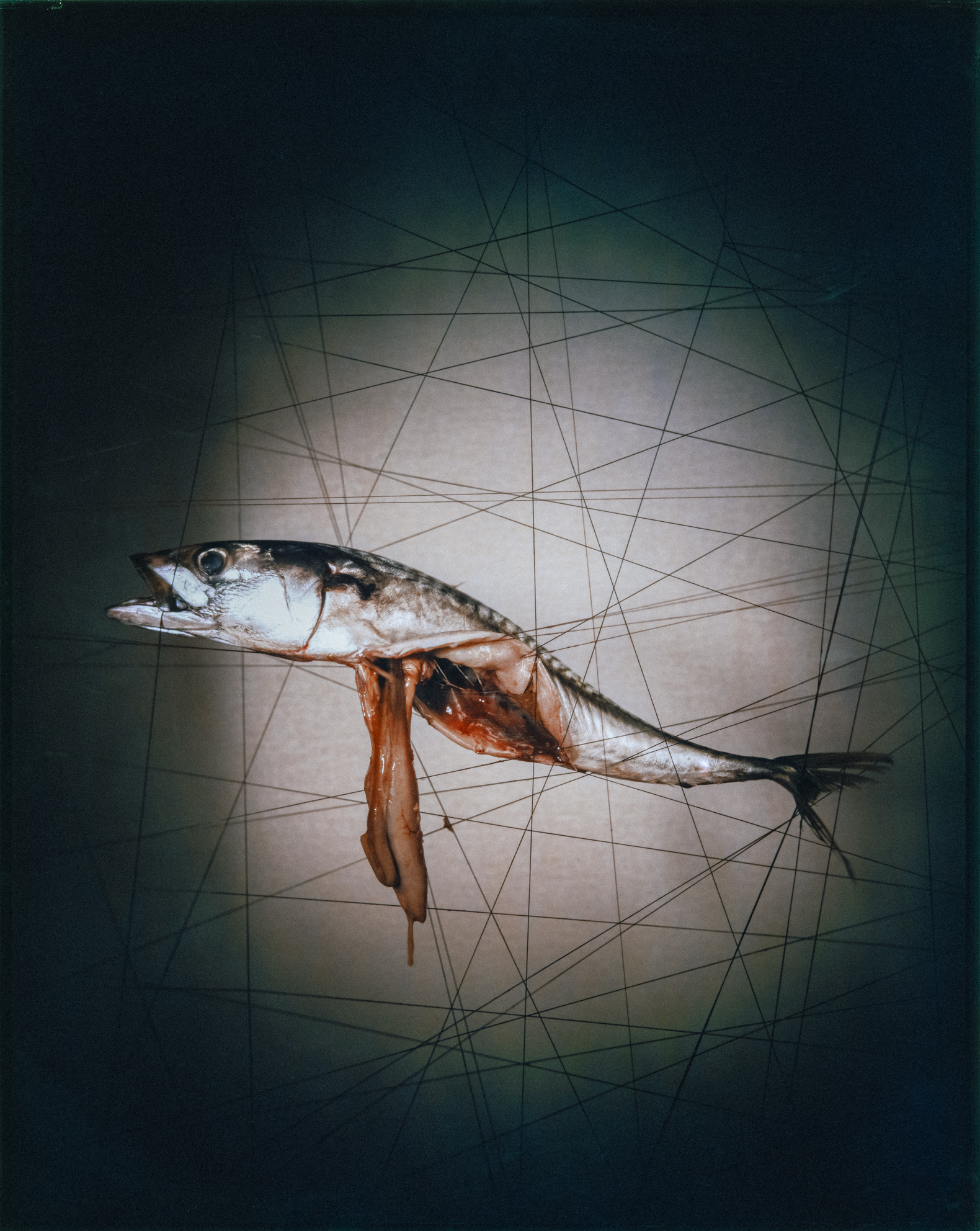  Cadavre Exquis Berlin