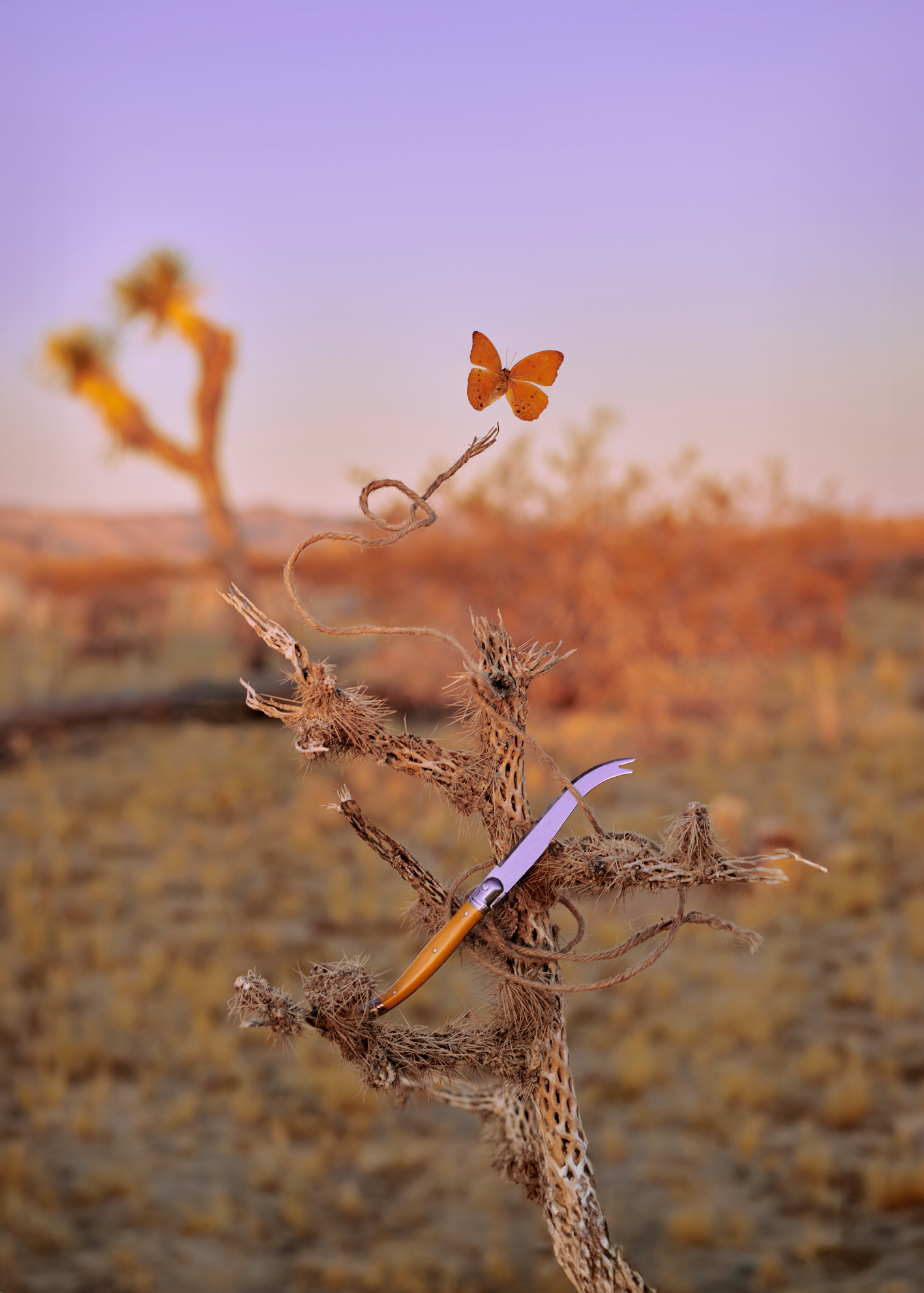  Cadavre Exquis Berlin