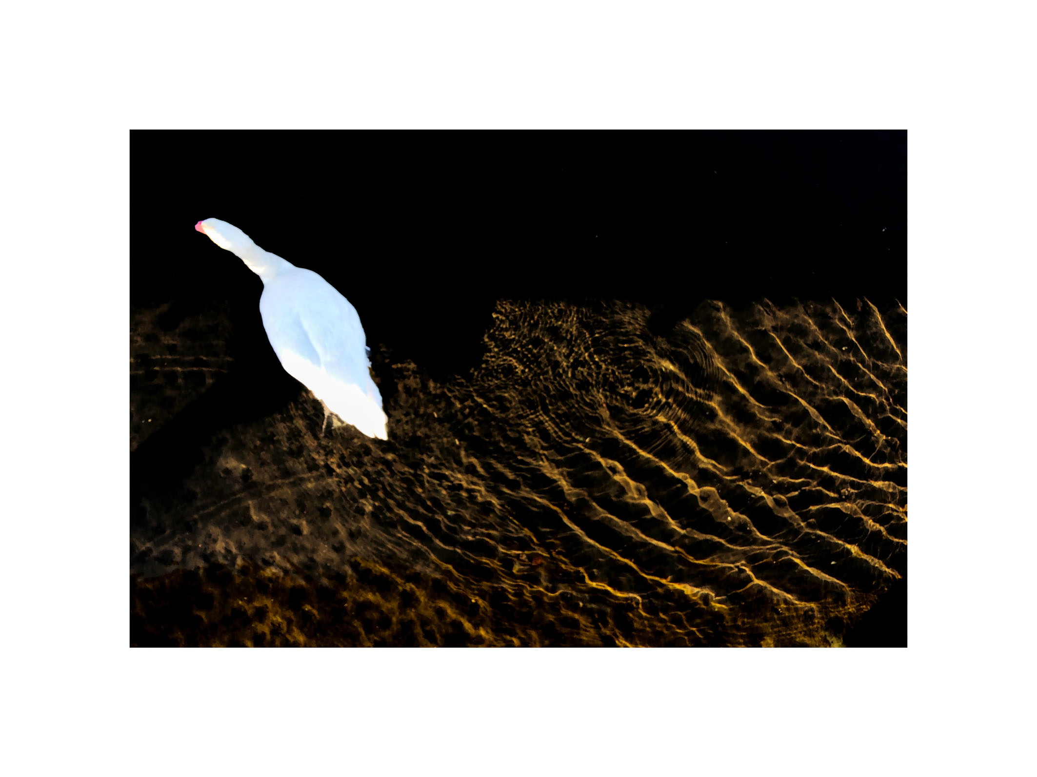  Cadavre Exquis Berlin