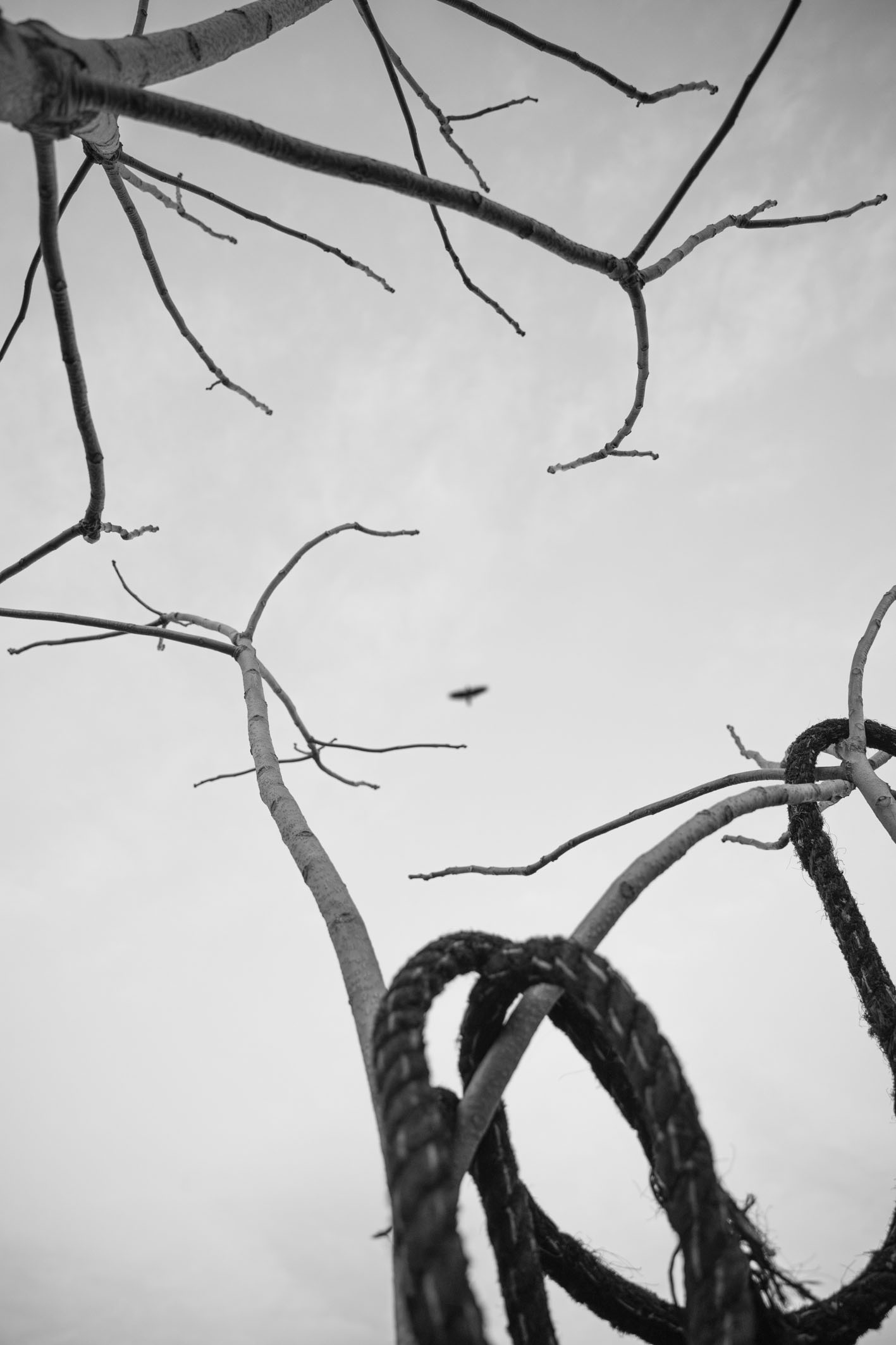  Cadavre Exquis Berlin