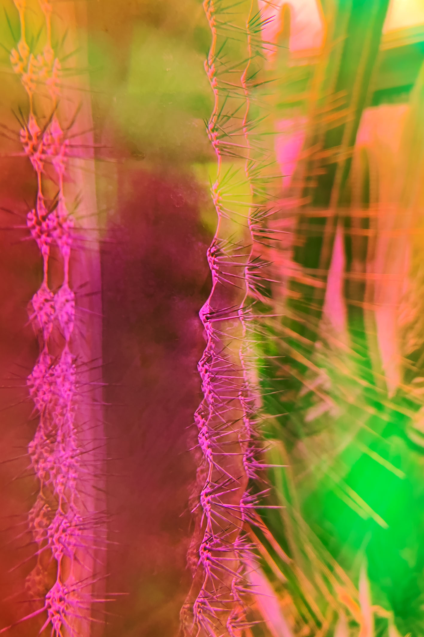  Cadavre Exquis Berlin