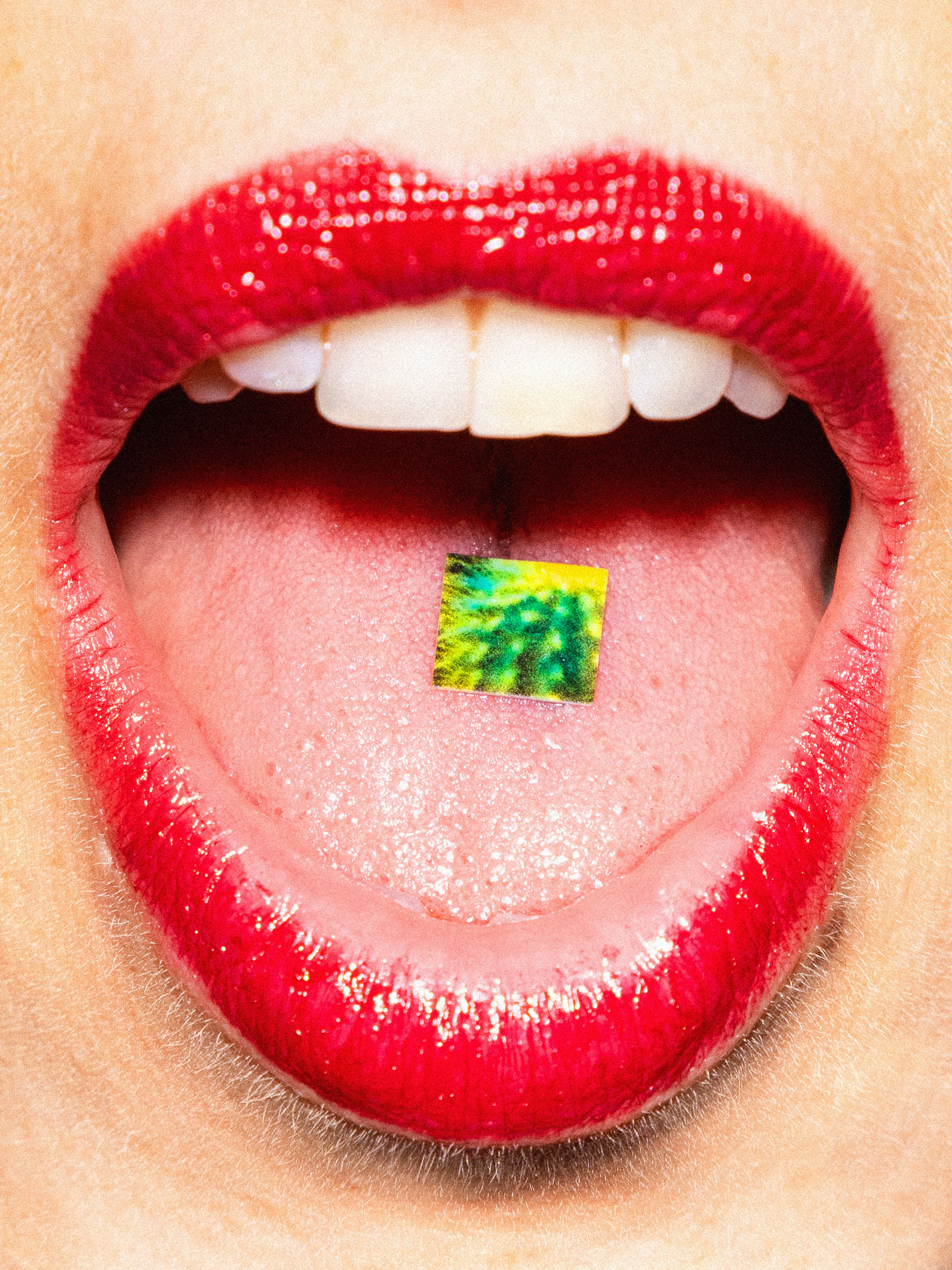  Cadavre Exquis Berlin